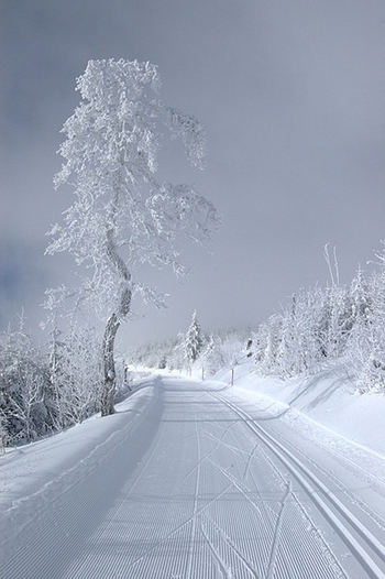 Photo par vanil.noir sous licence CC - http://www.flickr.com/photos/vanil-noir/2110569338/
