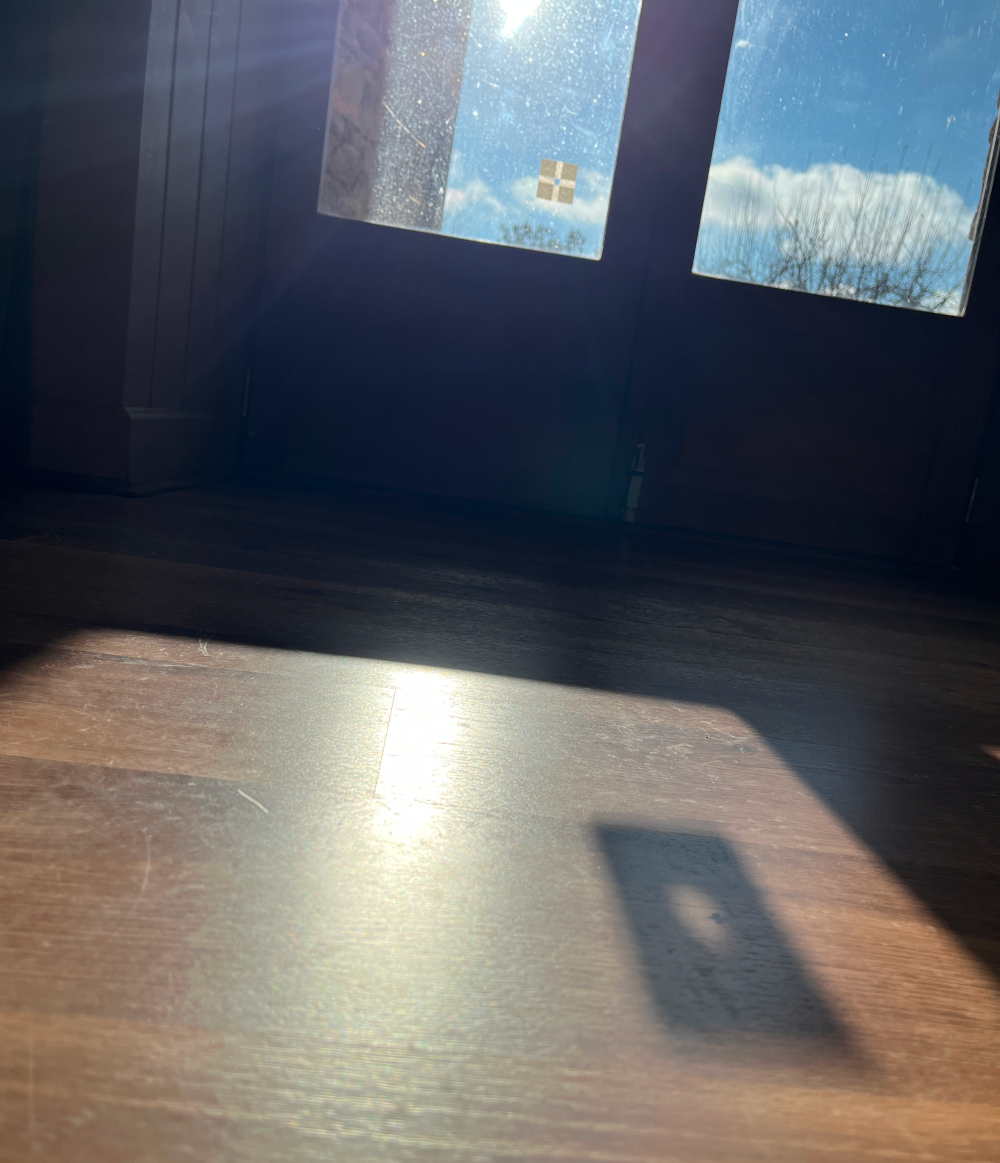 Trouvez l’ombre sur le sol.