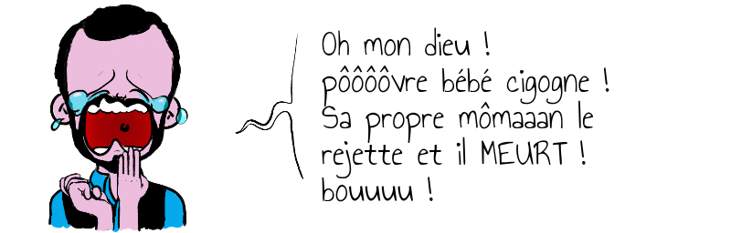 Oh mon dieu !  pôôôôvre bébé cigogne !  Sa propre mômaaan le   rejette et il MEURT !  bouuuu !