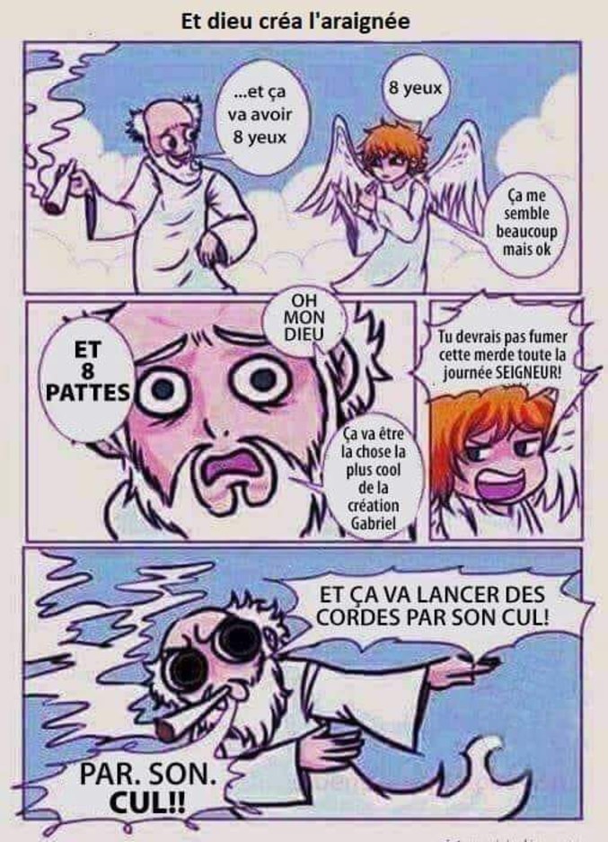 et-dieu-crea-l-araignee.jpg