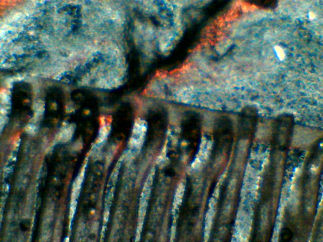 2023-03-07-122125.jpg