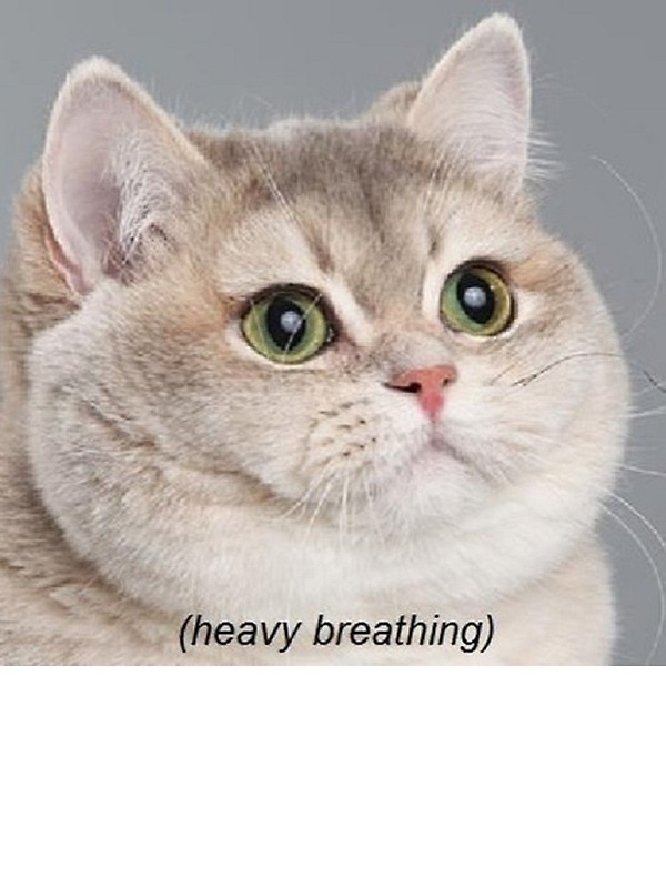 heavybreathing