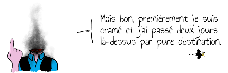 Mais bon, premièrement je suis  cramé et j'ai passé deux jours   là-dessus par pure obstination.