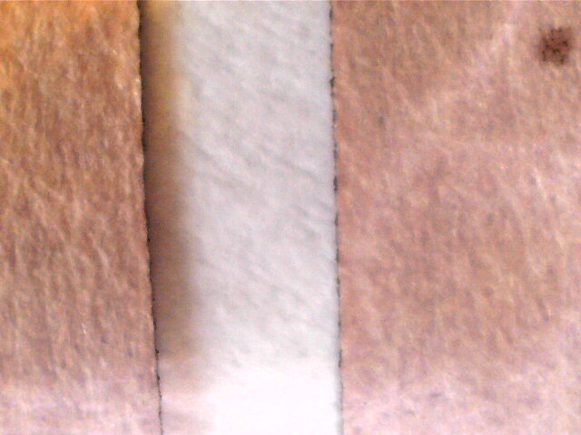 2023-02-23-095506.jpg