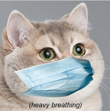 heavyb.jpg