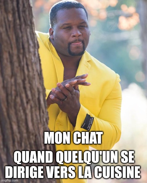 Anthony Adams Rubbing Hands meme «mon chat quand qqun se dirige vers la cuisine»