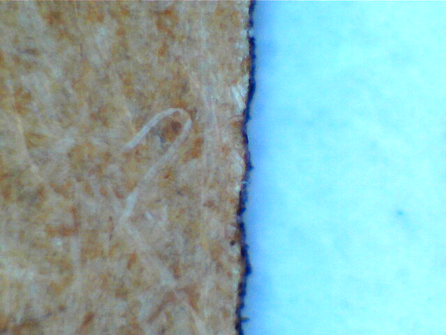 2023-02-23-095605.jpg