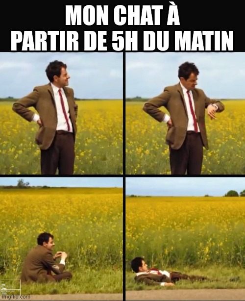 waiting bean meme «mon chat à cinq heure du matin»