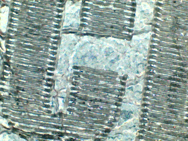 2023-03-07-122221.jpg