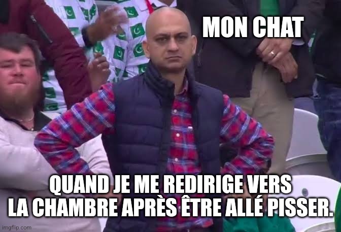 disapointed guy meme «mon chat quand je me redirige vers la chambre après être allé pisser»