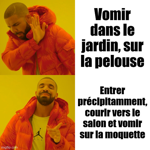 drake meme «vomir sur la pelouse vs entrer, aller dans le salon et vomir sur la moquette»