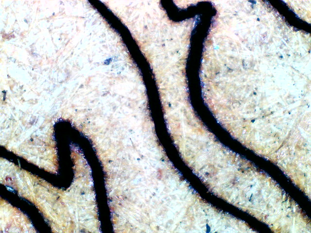 2023-02-23-092946.jpg