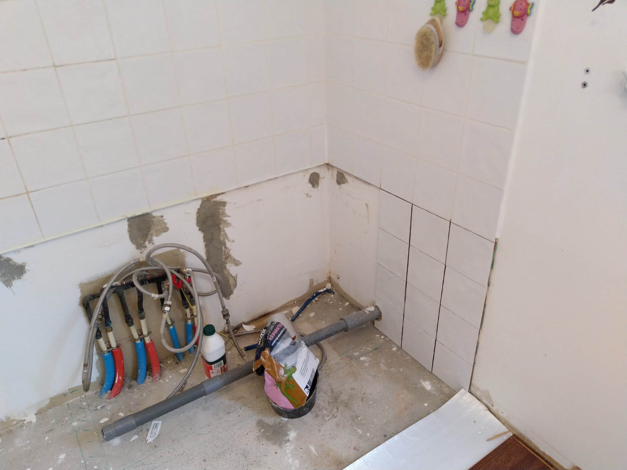 IMG 20210225 154559 copie.jpg