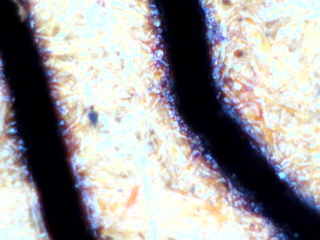 2023-02-23-092921.jpg