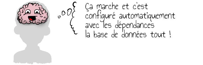 Ça marche et c'est   configuré automatiquement  avec les dépendances  la base de données tout !