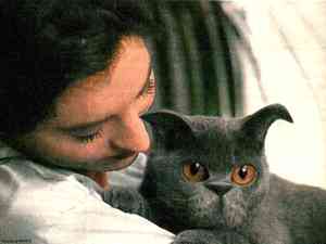 Chat en JPEG