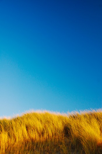 Photo par mendhak sous licence CC - http://www.flickr.com/photos/mendhak/4114167571/