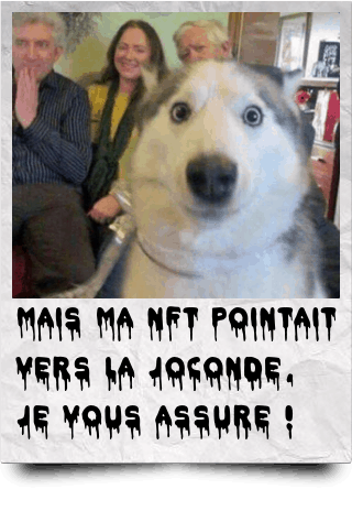 Mais ma NFT pointait vers la Joconde, je vous assure !